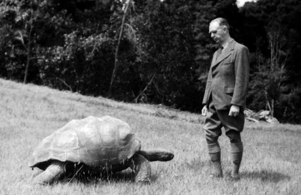 Un Legado Atemporal: Cómo la Tortuga Jonathan se Convirtió en un Símbolo Vivo de la Historia Global