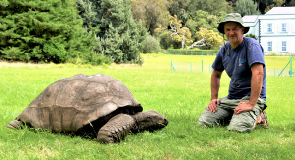 Un Legado Atemporal: Cómo la Tortuga Jonathan se Convirtió en un Símbolo Vivo de la Historia Global