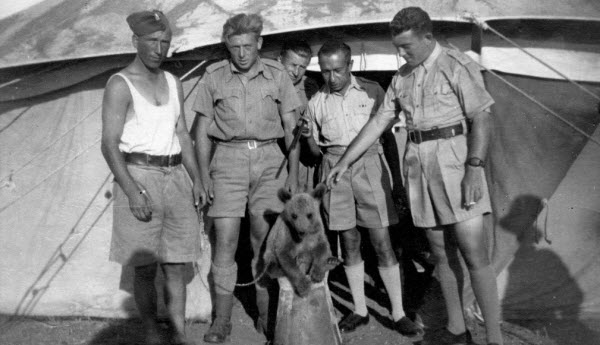 Wojtek: El oso soldado que luchó en la Segunda Guerra Mundial e inspiró al mundo