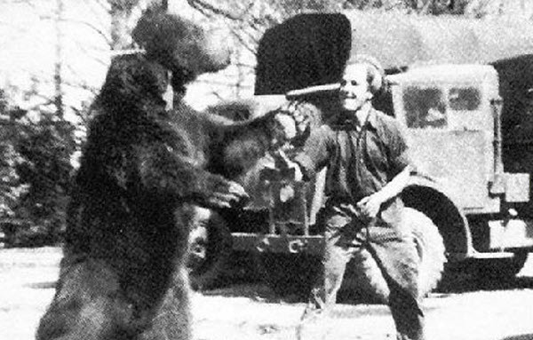 Wojtek: El oso soldado que luchó en la Segunda Guerra Mundial e inspiró al mundo