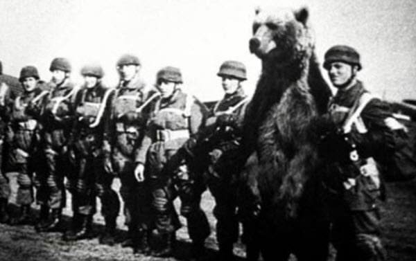 Wojtek: El oso soldado que luchó en la Segunda Guerra Mundial e inspiró al mundo