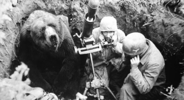 Wojtek: El oso soldado que luchó en la Segunda Guerra Mundial e inspiró al mundo