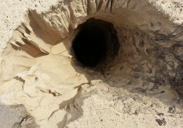 Los Secretos Mortales de las Dunas del Monte Bald: Cuando la Naturaleza Engulle a los Humanos Sin Advertencia