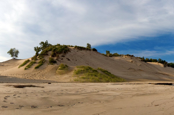 Los Secretos Mortales de las Dunas del Monte Bald: Cuando la Naturaleza Engulle a los Humanos Sin Advertencia