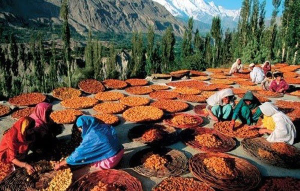 Los Secretos del Pueblo Hunza: El Oasis de la Juventud Eterna y la Salud