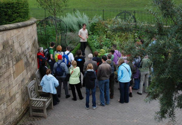 Explorando el Mundo de la Belleza Tóxica: Descubre los Secretos del Jardín de los Venenos de Alnwick