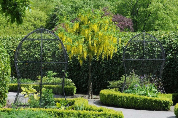 Explorando el Mundo de la Belleza Tóxica: Descubre los Secretos del Jardín de los Venenos de Alnwick