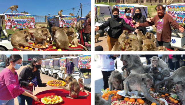 El Festival del Buffet para Monos: Una Celebración Tailandesa Única de Monos y Turismo