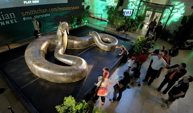 Titanoboa: Los Secretos Asombrosos de la Serpiente Más Grande del Mundo