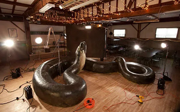 Titanoboa: Los Secretos Asombrosos de la Serpiente Más Grande del Mundo