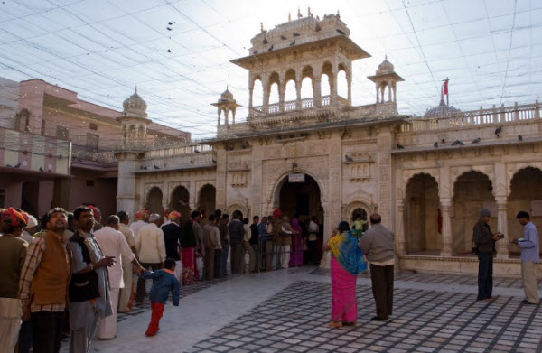 El Templo Sagrado de las Ratas en la India: Revelando los Misterios y Tradiciones de Karni Mata