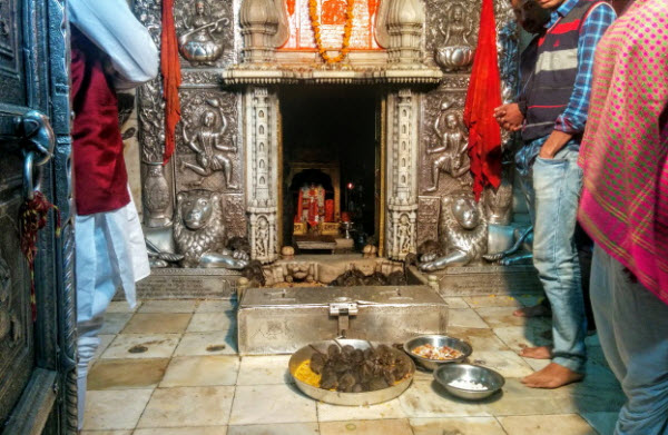 El Templo Sagrado de las Ratas en la India: Revelando los Misterios y Tradiciones de Karni Mata