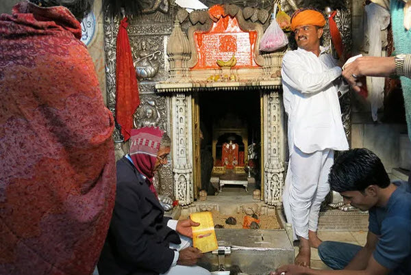 El Templo Sagrado de las Ratas en la India: Revelando los Misterios y Tradiciones de Karni Mata