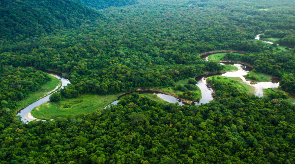 El Río Amazonas: Una Visión Completa