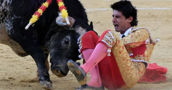 Los Últimos Momentos Antes de la Muerte del Matador Español Víctor Barrio