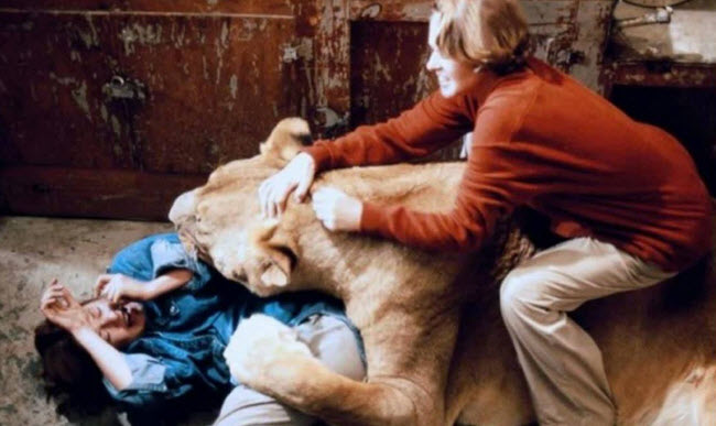 Roar: El sueño cinematográfico que se convirtió en una pesadilla real detrás de las cámaras