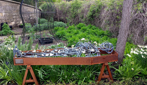 Voyage au cœur de la beauté toxique : Découvrez les secrets du Jardin des Poisons d'Alnwick