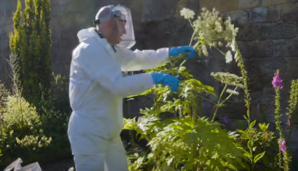 Voyage au cœur de la beauté toxique : Découvrez les secrets du Jardin des Poisons d'Alnwick