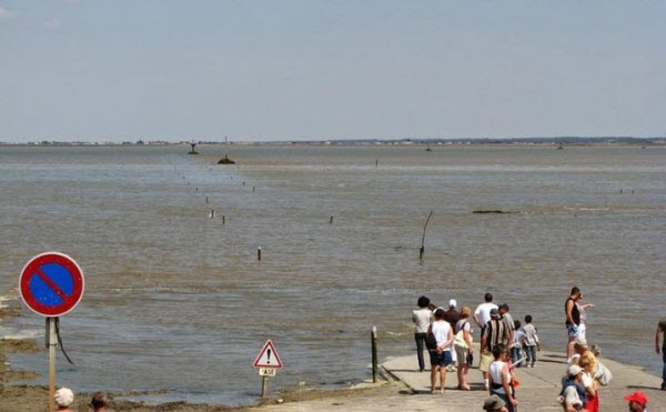 Passage du Gois : La Route Secrète de France Qui Disparaît Sous l'Eau