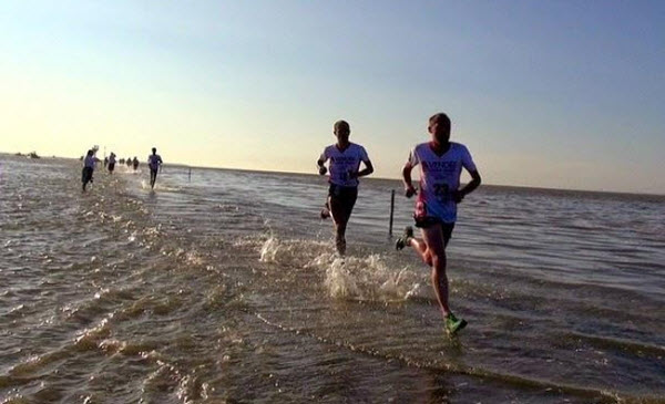 Passage du Gois : La Route Secrète de France Qui Disparaît Sous l'Eau