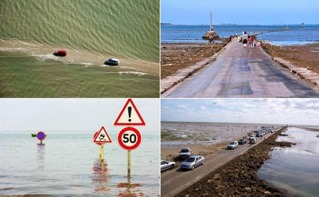 Passage du Gois : La Route Secrète de France Qui Disparaît Sous l'Eau