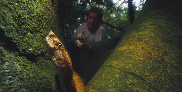 L'île des Serpents Mortels : Les Secrets Mortels de La Grande