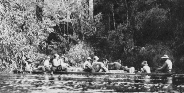 Le Fleuve Amazone : Un Aperçu Complet