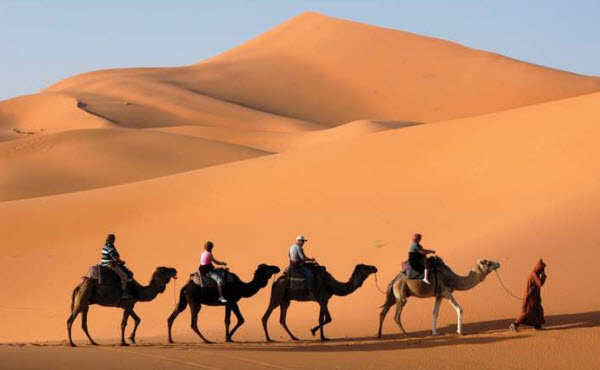 Le Désert du Sahara : Un Aperçu