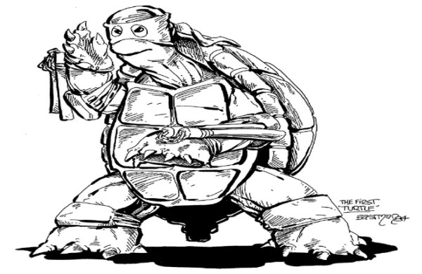 L'Ascension et les Épreuves des Tortues Ninja: Des Personnages de Bande Dessinée aux Icônes Mondiales