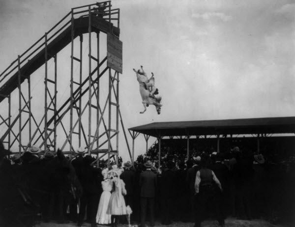 Le plongeon équestre : Un sport américain oublié et controversé