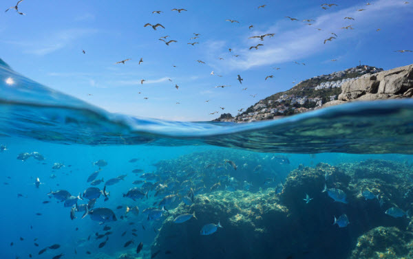 La Mer Méditerranée : Une Vue Approfondie de son Importance Géographique, Historique et Environnementale