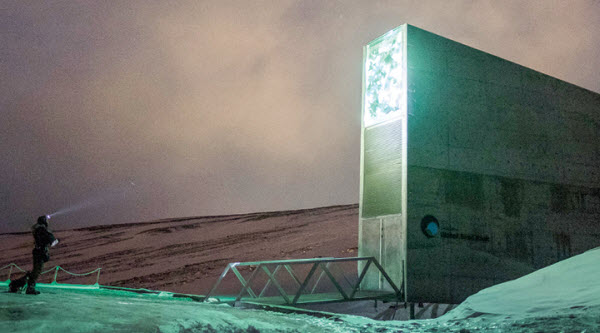 Seed Fortress: Humanity's Last Refuge in Svalbard