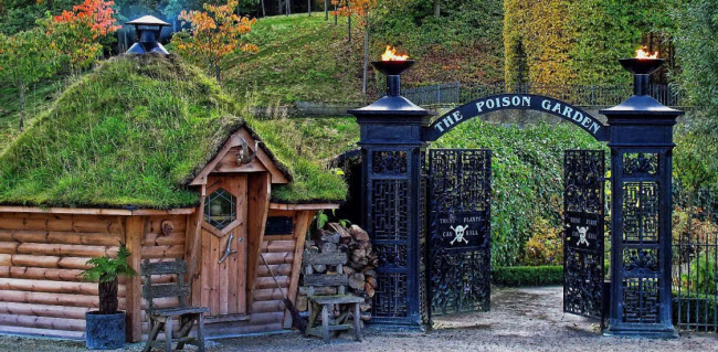 Exploring the World of Toxic Beauty: Unveiling the Secrets of Alnwick Poison Garden