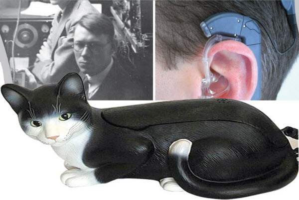 An Extraordinary Telephone Experiment: How 20th-Century Scientists Turned a Cat into a Communication Device