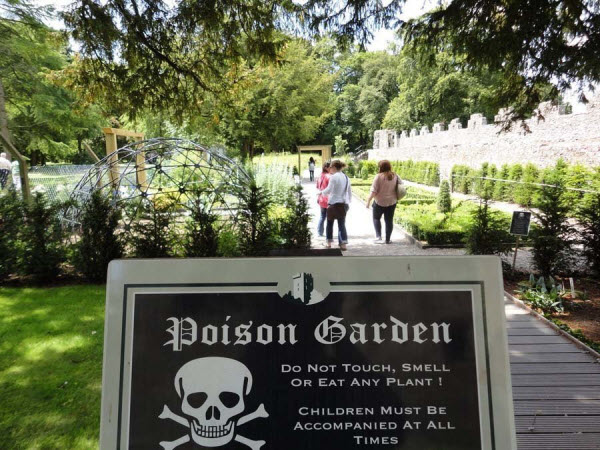 Exploring the World of Toxic Beauty: Unveiling the Secrets of Alnwick Poison Garden