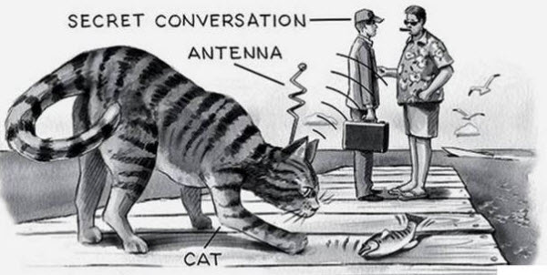 Operation Acoustic Kitty: How the CIA Turned Cats into Spies During the Cold War