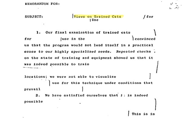 Operation Acoustic Kitty: How the CIA Turned Cats into Spies During the Cold War