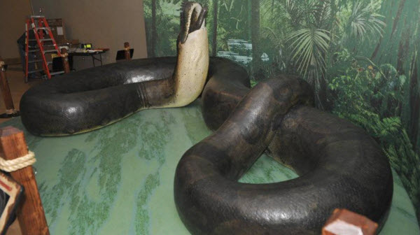 Titanoboa: The Astonishing Secrets of the World's Largest Snake