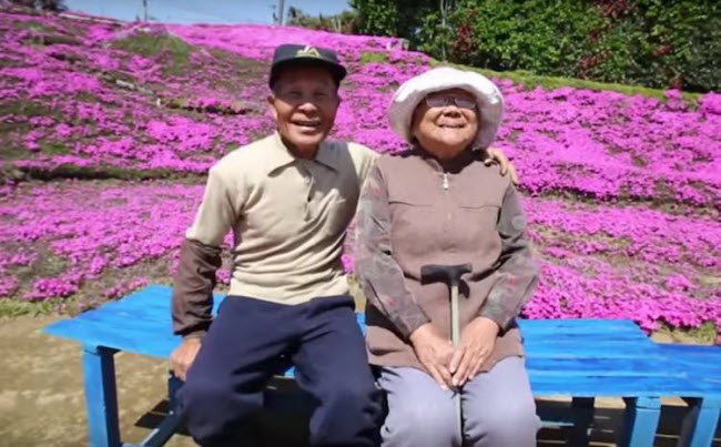 A Blossoming Tribute: The Story of Mr. Kuroki's Endless Love and His Flower Garden