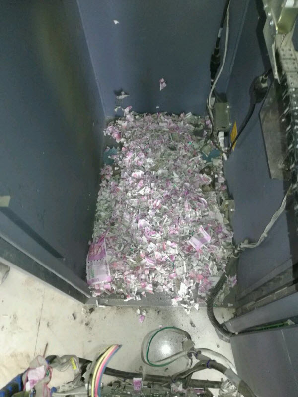 An Unexpected World: When an ATM Becomes a Rodent Refuge and Millions Are Lost