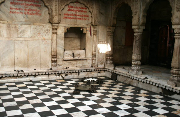 The Sacred Rat Temple of India: Unveiling the Mysteries and Traditions of Karni Mata