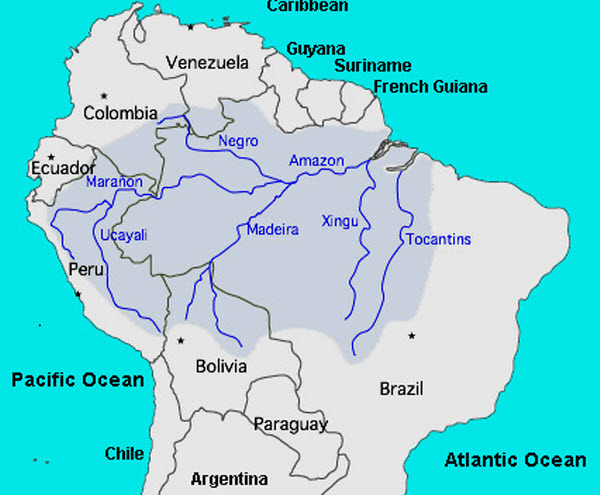 The Amazon River: A Comprehensive Overview