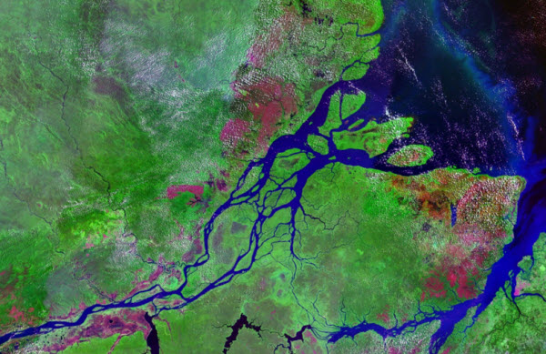 The Amazon River: A Comprehensive Overview