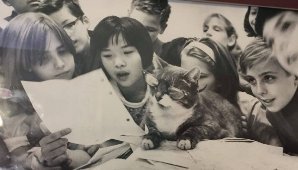 The Cat That Became a Legend: The Tale of Room 8