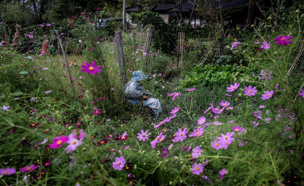 The Art of Persuasion: The Astonishing Story of Nagoro Village and Its 400 Dolls