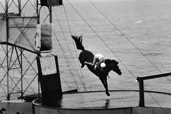 Horse Diving: A Forgotten and Controversial American Sport