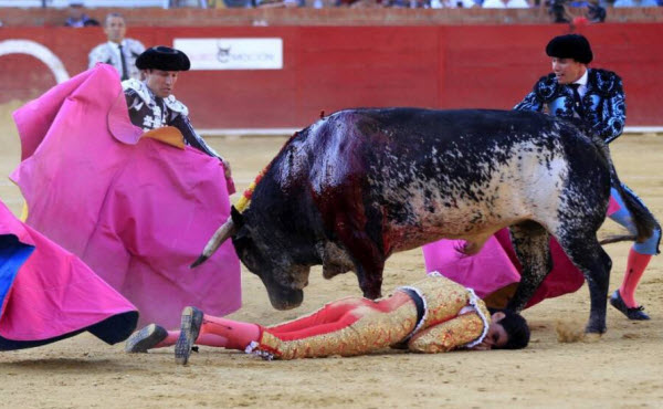 The Tragic Death of Matador Víctor Barrio and Its Impact on Bullfighting in Spain