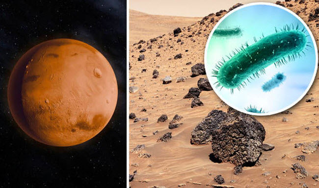 Mars: A Journey Through Time in Search of Life on the Red Planet